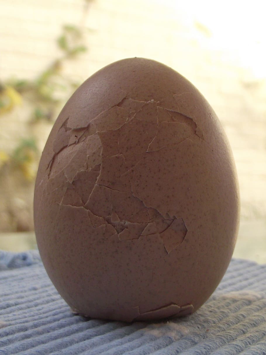egg, cracked, broken, shattered, break, setbacks, shock, drop, fell, hard boiled eggs