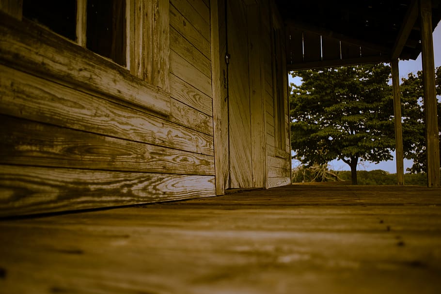 shack, cottage, hut, cabin, rural, rustic, wood - Material, nature, architecture, built structure