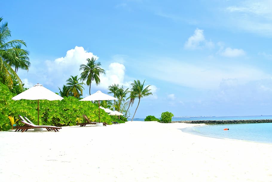 isla de arena blanca, maldivas, cocotero, mar, resort, verano, vacaciones, cielo, océano, playa