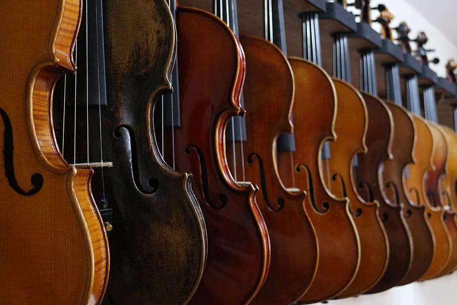 violin lot, violin, music, fiddle, classical, instrument, orchestra, concerto, musical instrument, string instrument