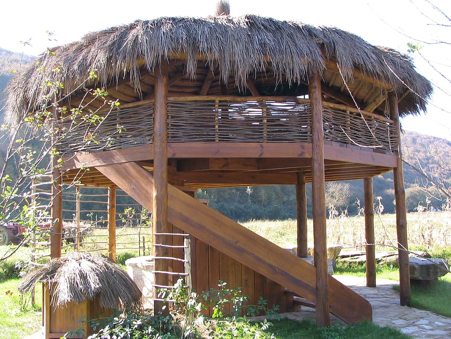 treehouse, wood, thatched roofs, turkey, roof, thatched roof, wood - material, architecture, nature, built structure