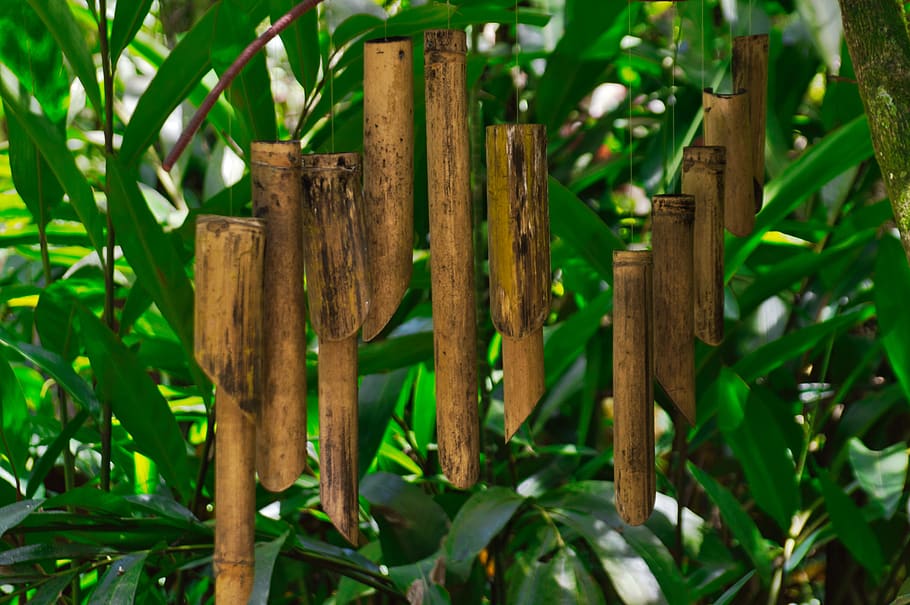 cartago, costa rica, wind chimes, bamboo, wood - material, plant, close-up, green color, day, nature