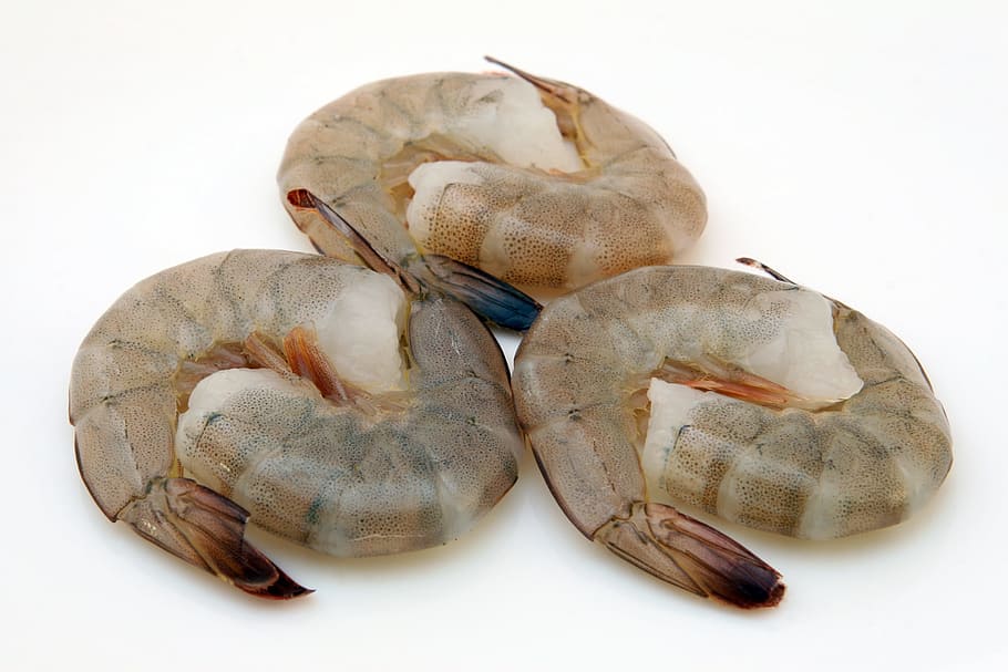 three headless shrimps, asian, calories, catering, cellulite, chinese, cholesterol, closeup, cookery, copy space