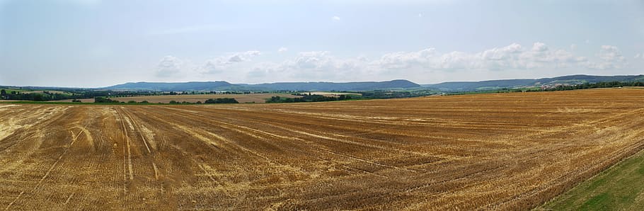 Panorama, Cornfield, Harvested, Vision, rural, hill, field, landscape, cereals, wheat field