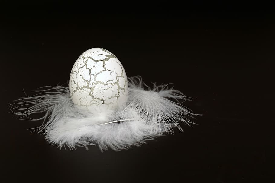 gris, negro, decoración de huevo, blanco, pluma, huevo de pascua, huevo, vidrio, frágil, pascua