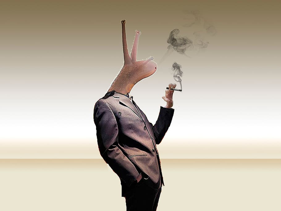 snail, photoshop, smoking, cigarette, one person, men, business, businessman, suit, business person
