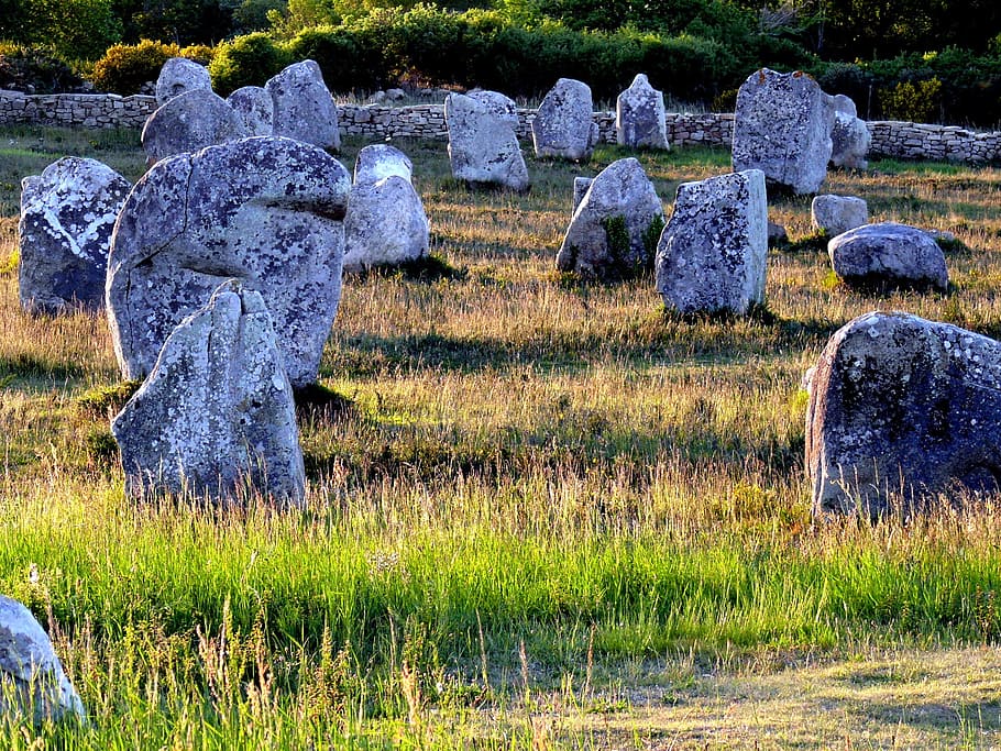 menhirs, carnac, brittany, evening, megaliths, plant, grass, field, nature, stone