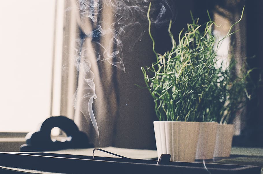 incense, scent, burn, smoke, plant, smell, nature, potted plant, table, window