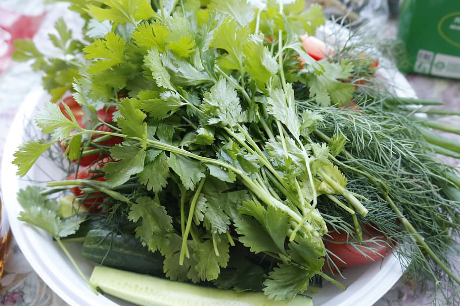 greens, parsley, dill, salad, vegetable garden, food, harvest, seasoning, closeup, green leaves