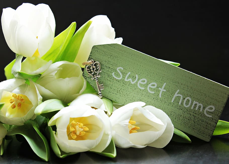 white, tulips, sweet, hone, card, labeled, bouquet, tulipa, shield, sweet home