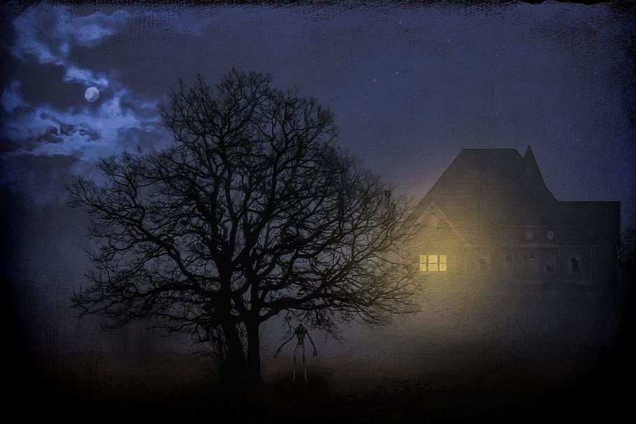 leafless tree, nighttime, gloomy, dark, mystical, night, tree, moon, full moon, fog