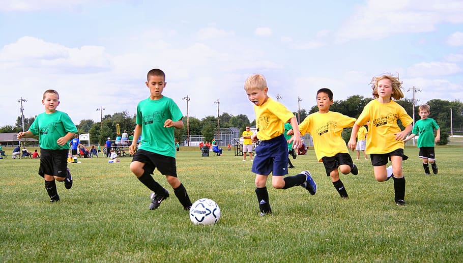 team of young footballers, football match, team, juniors, football field, lawn, ball, sport, sports, football