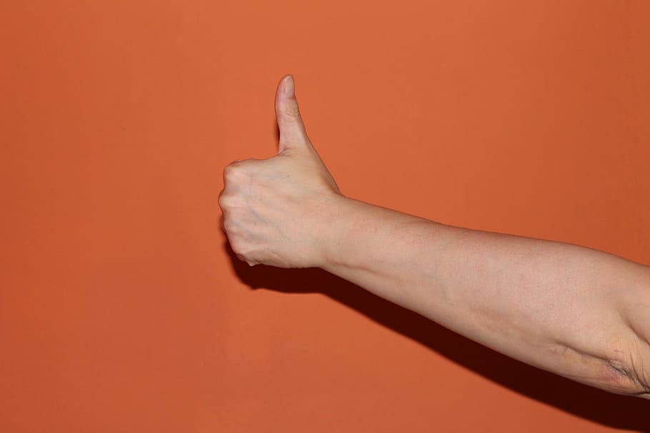 approve hand gesture, thumb, hand, great, excellent, thumbs up, human Hand, gesturing, people, human Finger