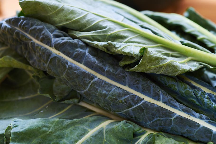 fresh, kale, macro, food, organic, leaves, tuscan, diet, nutrition, farm