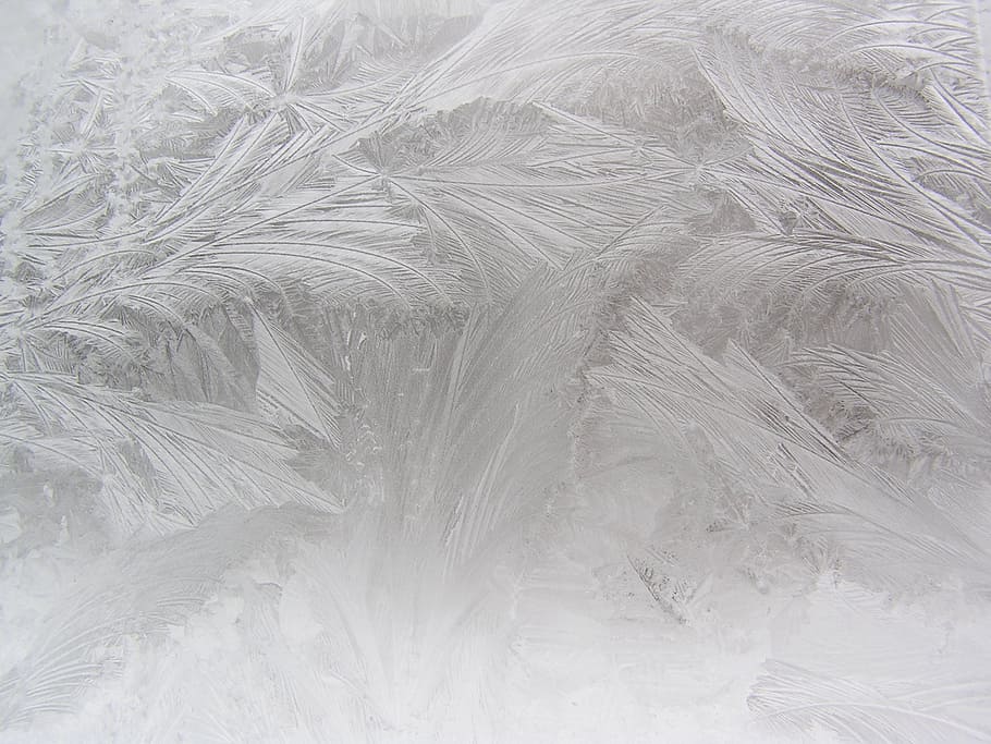 icing, winter window, frost, frost on the window, backgrounds, pattern, white color, textured, full frame, winter