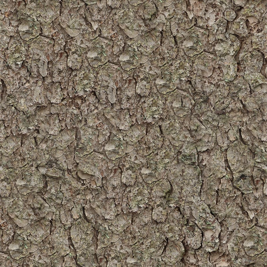 untitled, texture, seamless, tileable, pine, bark, nature, tree, trunk, backgrounds