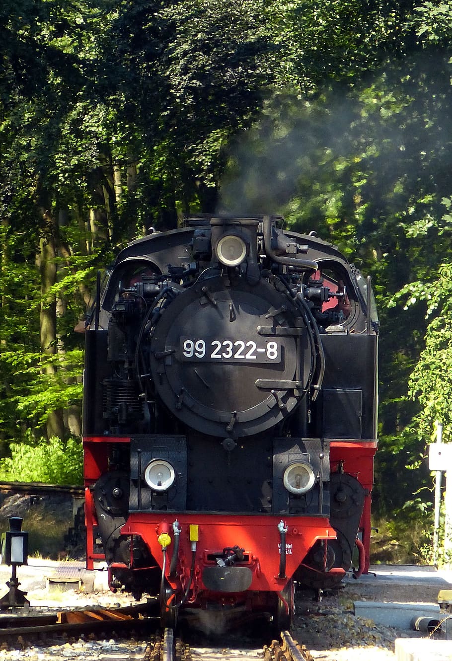 railway, train, transport, traffic, loco, steam locomotive, molli web, mecklenburg, historically, locomotive