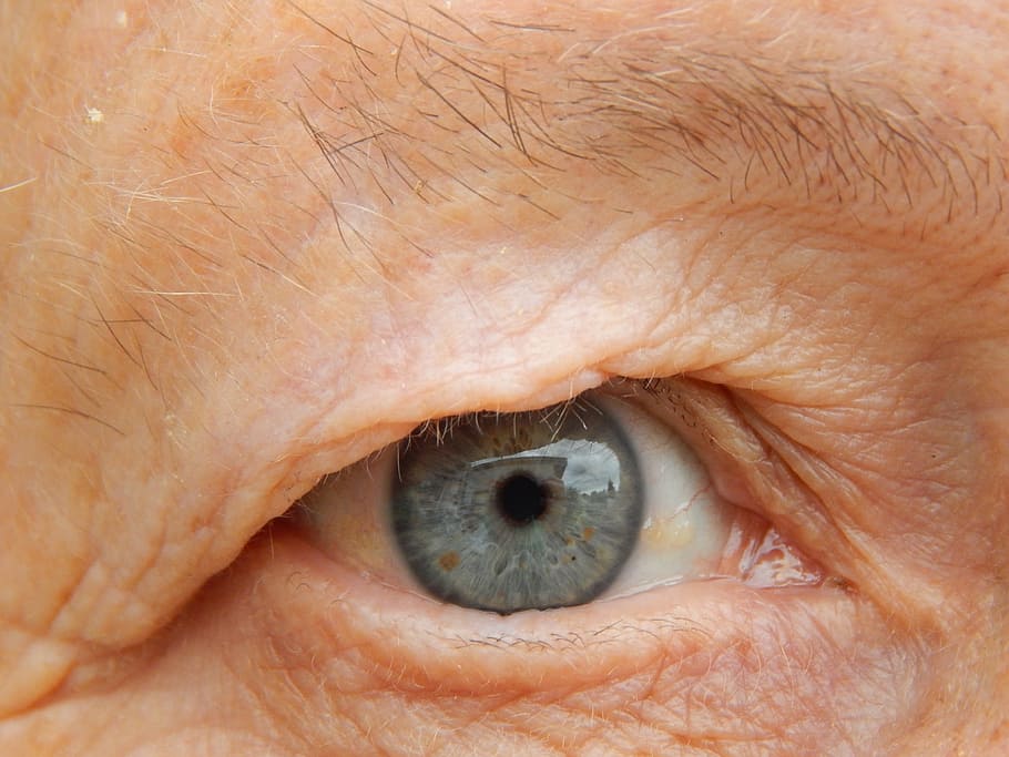 eye, view, grandma, human body part, eyesight, human eye, body part, sensory perception, close-up, one person