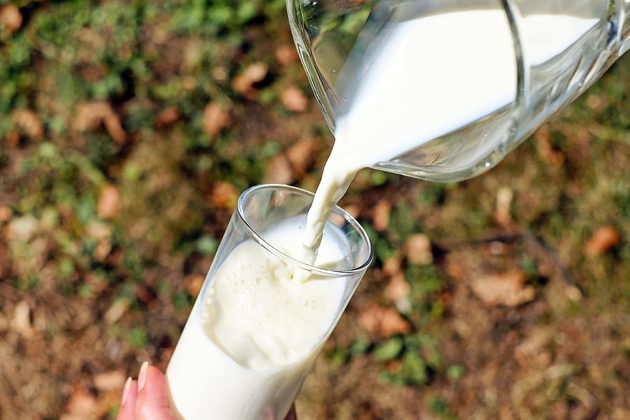 clear, glass pitcher, pouring, white, liquid, drinking glass, glass, milk, cow's milk, pour a