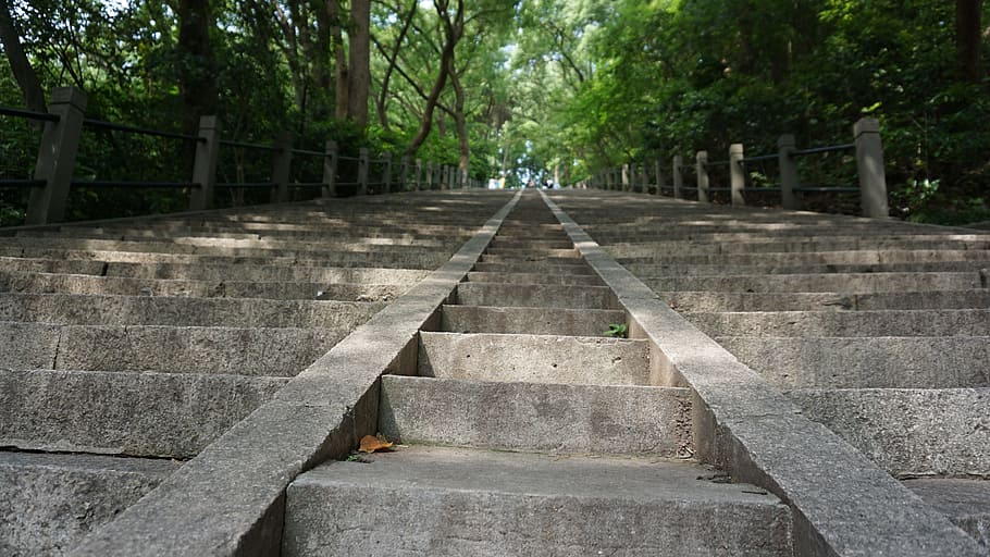 empty staircase, Shanghai, Sheshan, Stairs, Summer, mountain climbing, noon, day, tree, outdoors