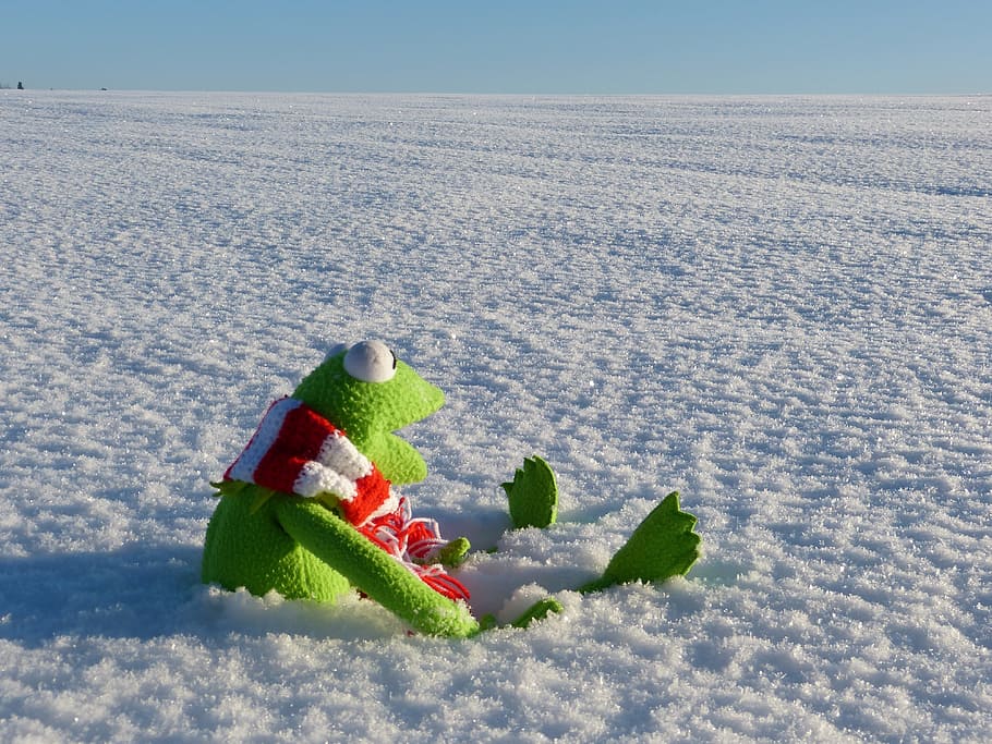 sapo, pelúcia, brinquedo, campo de neve, Kermit, neve, inverno, frio, luz do sol, frio de inverno