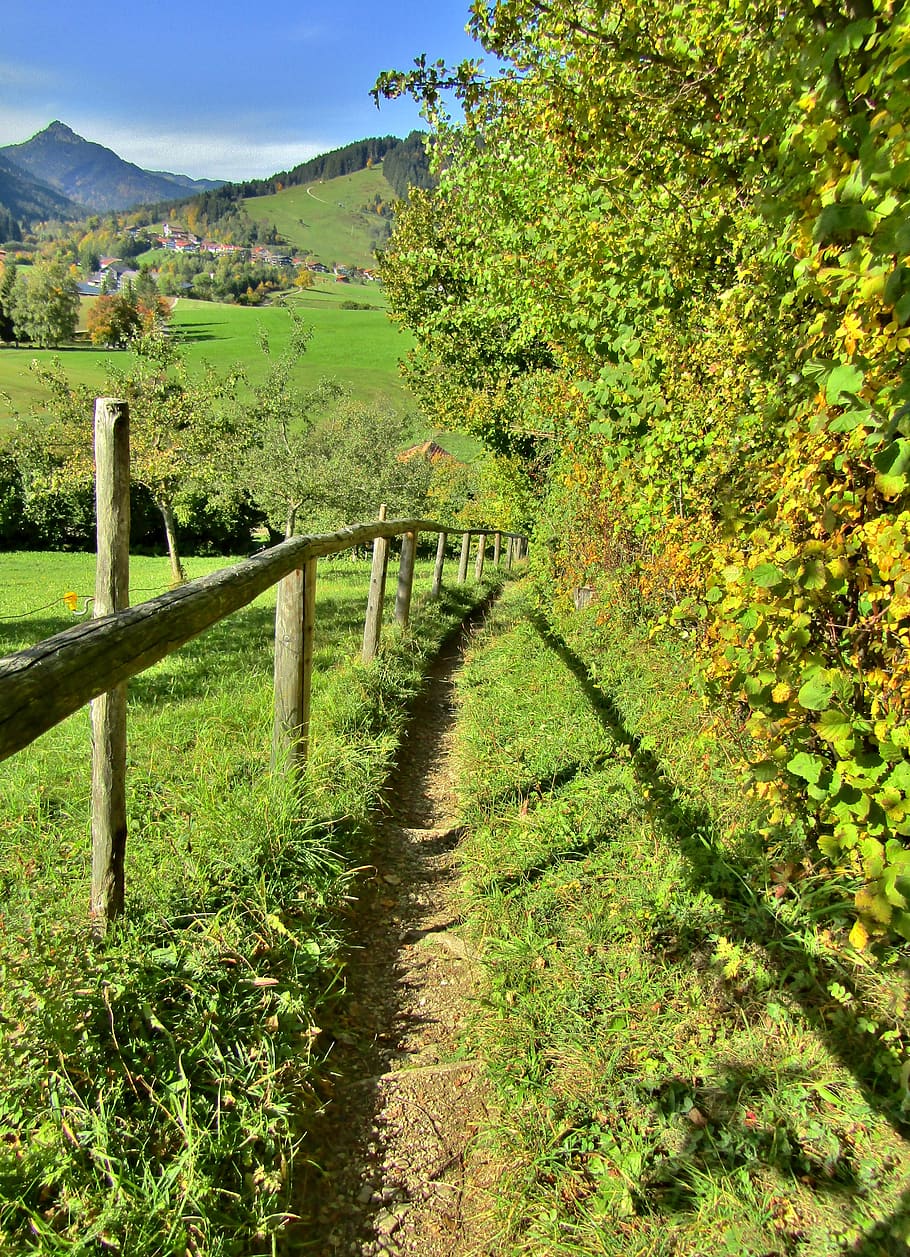 path, away, trail, mountains, wood fence, trees, autumn, green, light, grass