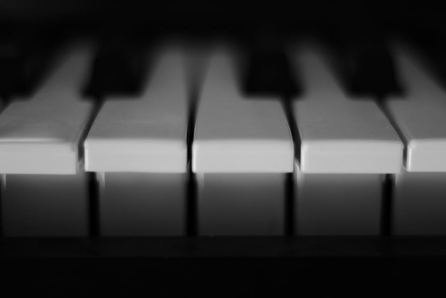 piano, chaves, branco, música, dedilhar, teclado de piano, instrumento musical, teclas de piano, fechar, instrumento de teclado