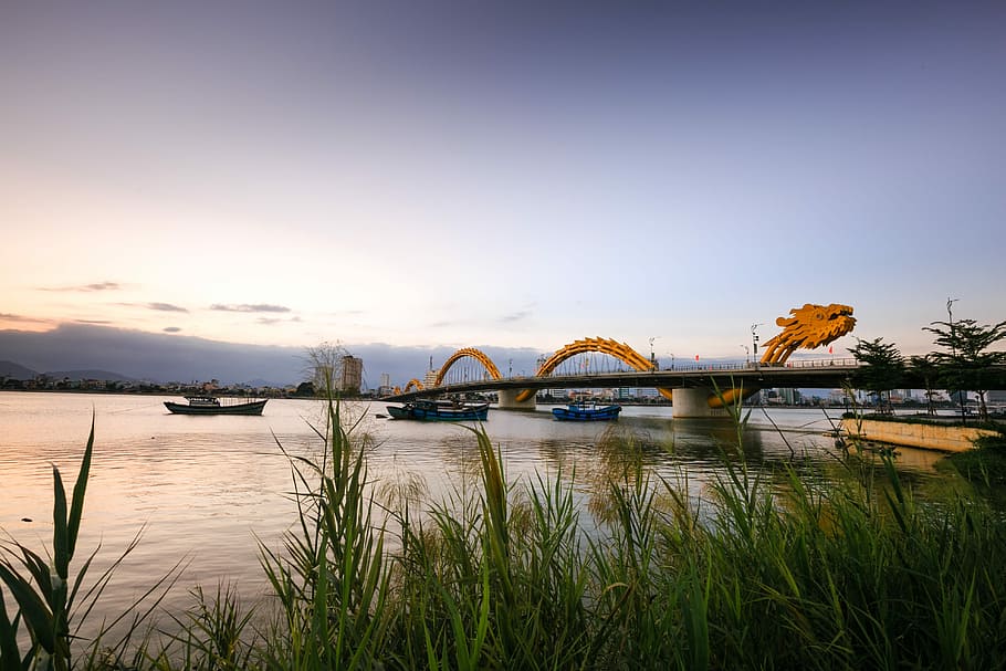 orange, dragon bridge, body, water, vietnam, danang, the city, south river, travel, sky