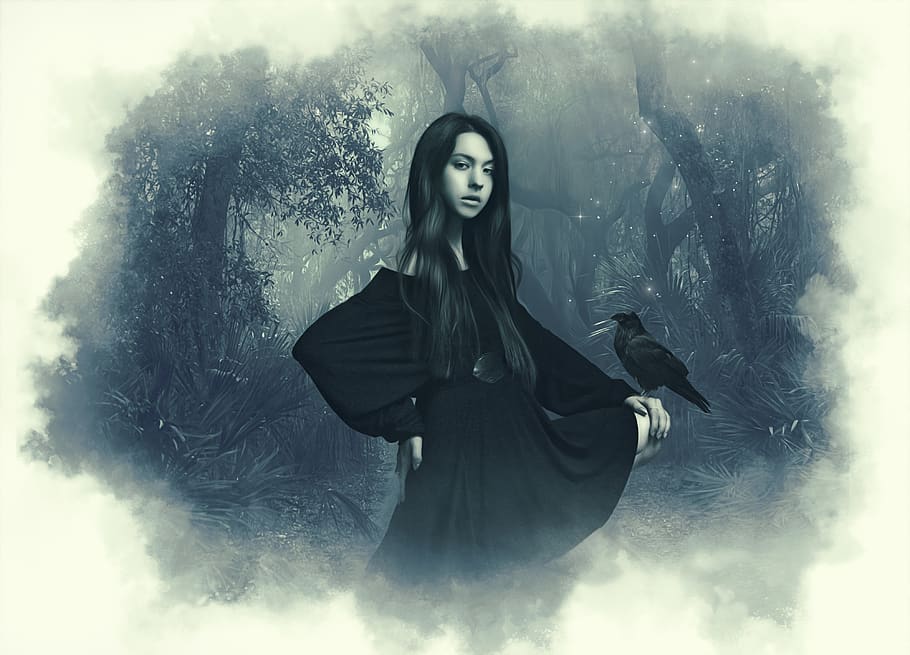 gothic, dark, fantasy, woman, girl, young, beauty, model, raven, forest