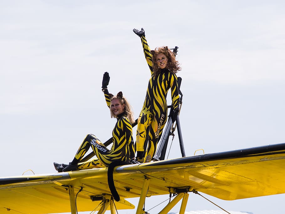 Flight show. Акробатика самолет.