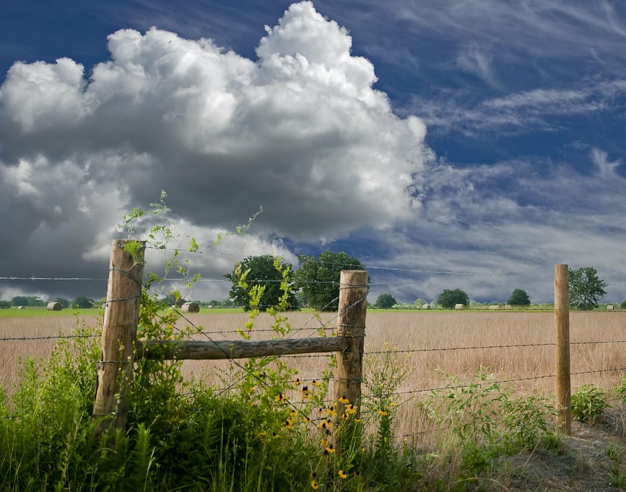 nimbus cloud, grass field, fence, farmland, clouds, cumulus, sky, summer, field, barbed wire