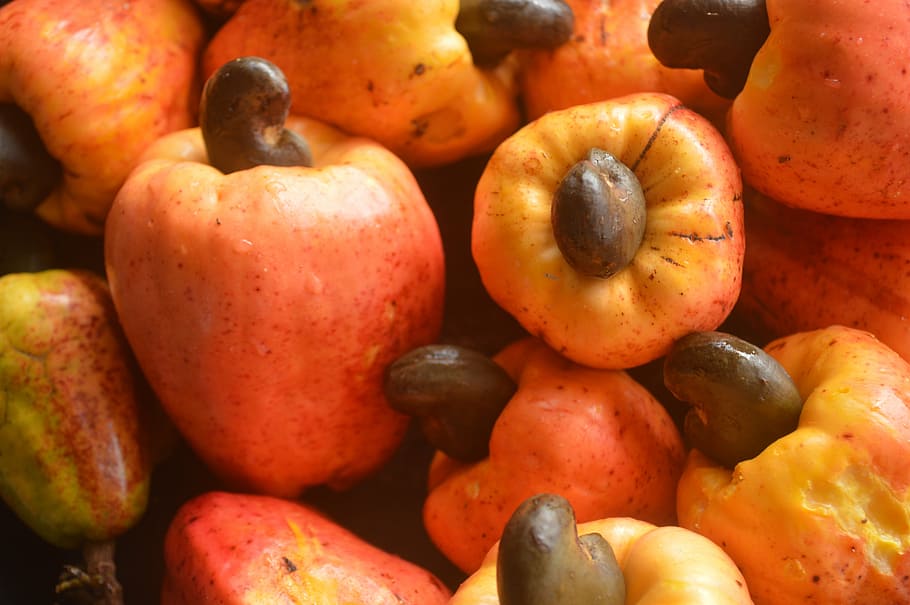 frutas, maçã de caju, comida, orgânico, tropical, natural, agricultura, doce, vitamina, amendoim