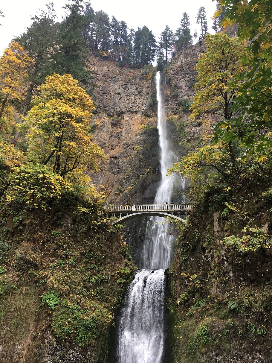 waterfall, oregon, multnomah falls, nature, scenic, bridge, cascade, falls, usa, landscape