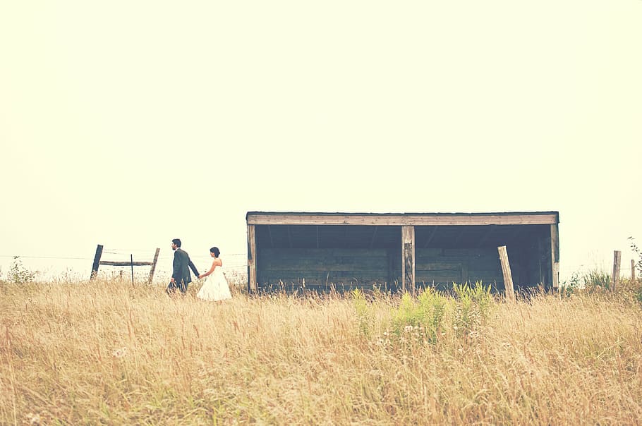 Novio, novia, caminar, marrón, campo de hierba, durante el día, fotografía, pareja, matrimonio, boda