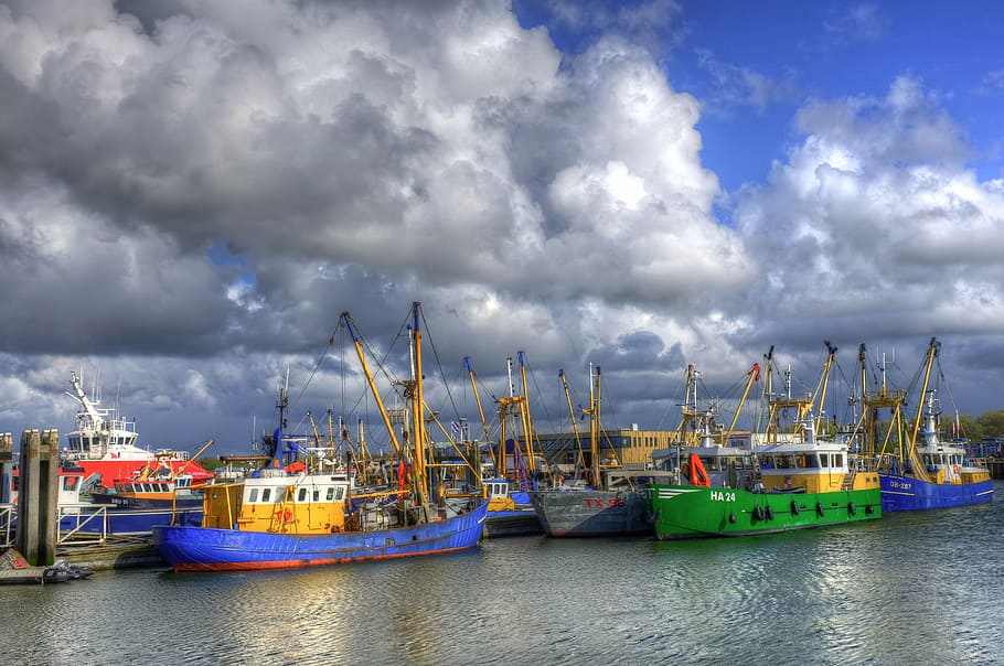 lauwersoog, puerto, barcos de pesca, pesca, groningen, barco, agua, barco de pesca, nube - cielo, embarcación náutica
