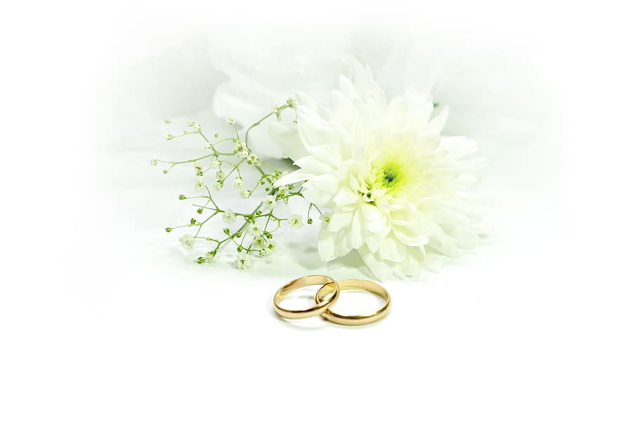 par, anillo de compromiso de color dorado, al lado, blanco, flores, boda, anillos, casarse, oro, joyas