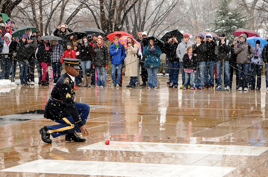 unknown soldier tomb, laying rose, government photo, credit sgt, jose a, torres jr, soldier, honor, single rose, sentinentel