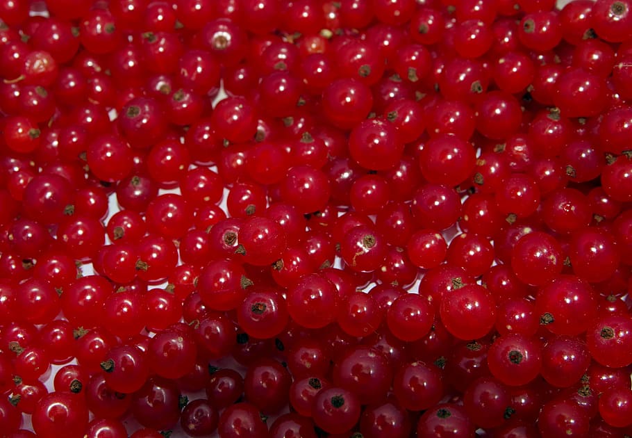Red Currant, Natural, Healthy, currant, food, garden, sad, jam, compote, tincture