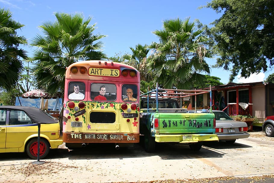bus, hawaii, graffiti, mode of transportation, tree, transportation, land vehicle, plant, public transportation, sunlight