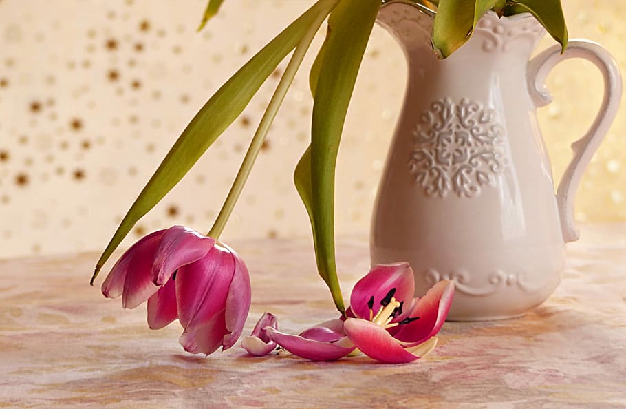 pink, tulips, white, vase centerpiece, still life, vase, flowers, tulipa, death, faded