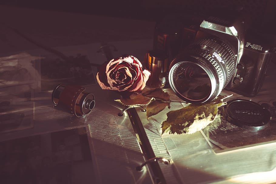 câmera, ao lado de, rosa, filme, mesa, velho, vintage, lente, analógico, obturador