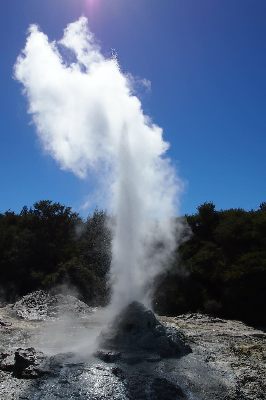 rotorua, gêiser, nova zelândia, detergente, fonte quente, ilha norte, área do vulcão, vulcanismo, natureza, vapor