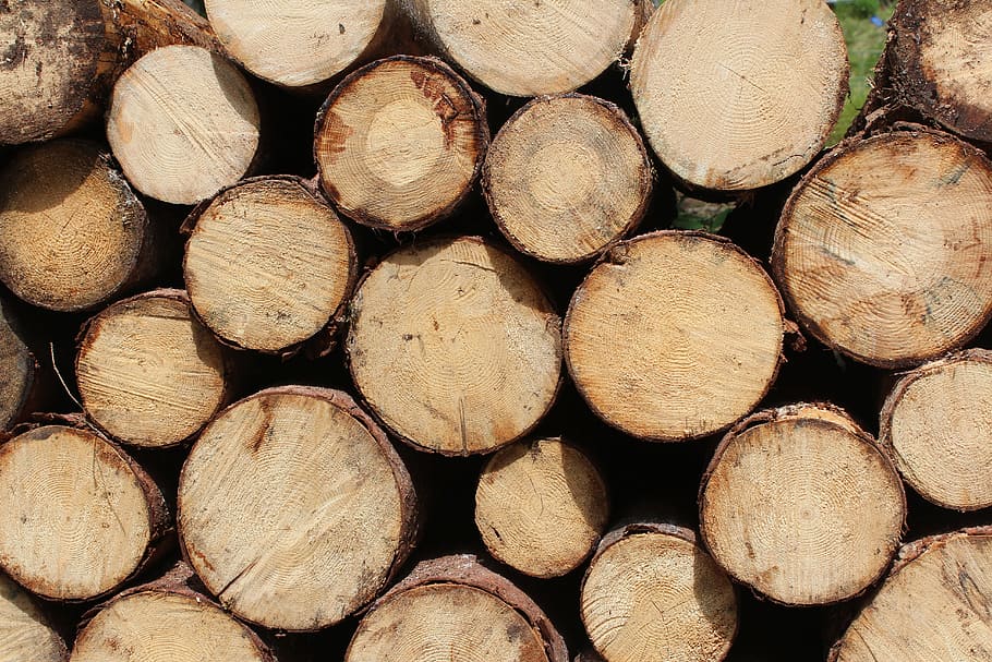 丸太の山, 刻んだ木材, logs, 丸太, 木材, 木製, 木製の丸太, ウッドパイル, 森, スタック