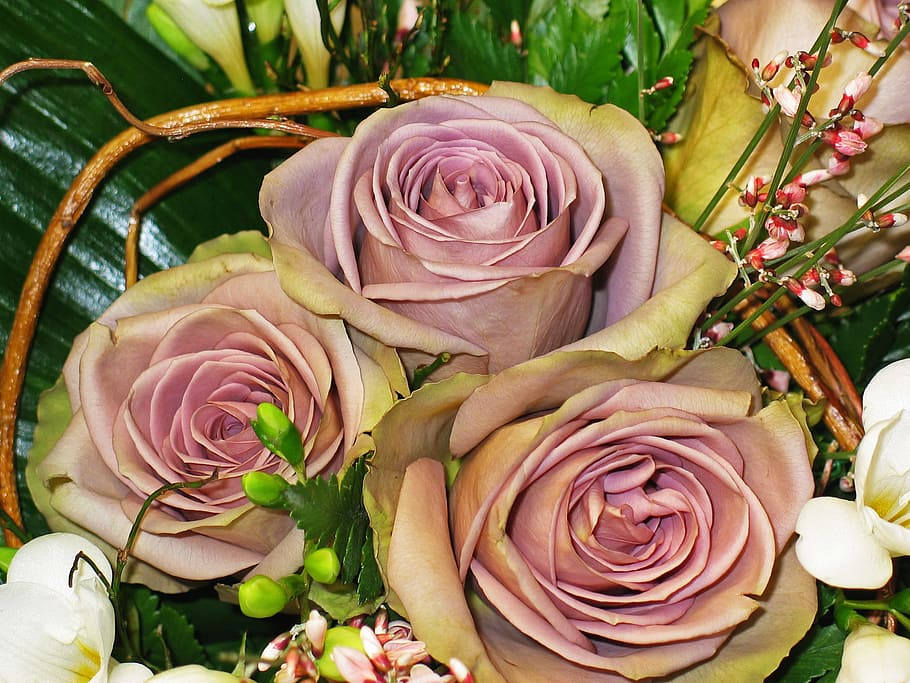 tres rosas marrones, Ramo de rosas, rosas, ramo, strauss, boda, felicitaciones, flores, día de fiesta, rosa