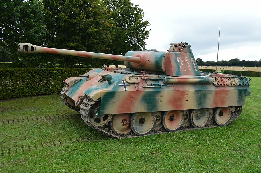 panther, panzer, char, military, weapon, war, plant, field, land, tank