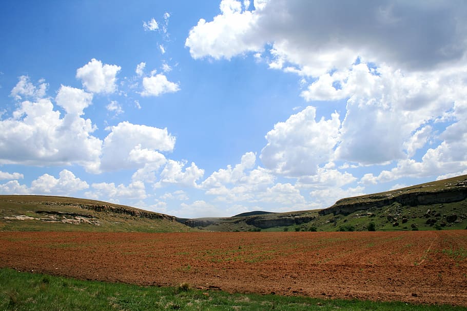 brown, green, grass field, blue, gray, skies, field, tilled, ploughed, land