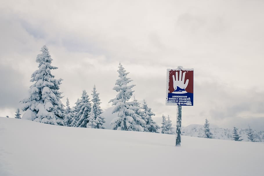 hand signage, snow field, pine trees, alpine, winter, landscape, snowy, avalanche danger, avalanche, wintry