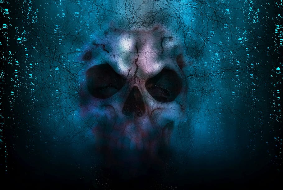 abu-abu, biru, ilustrasi tengkorak, tengkorak, horor, halloween, kematian, mati, kepala, tulang