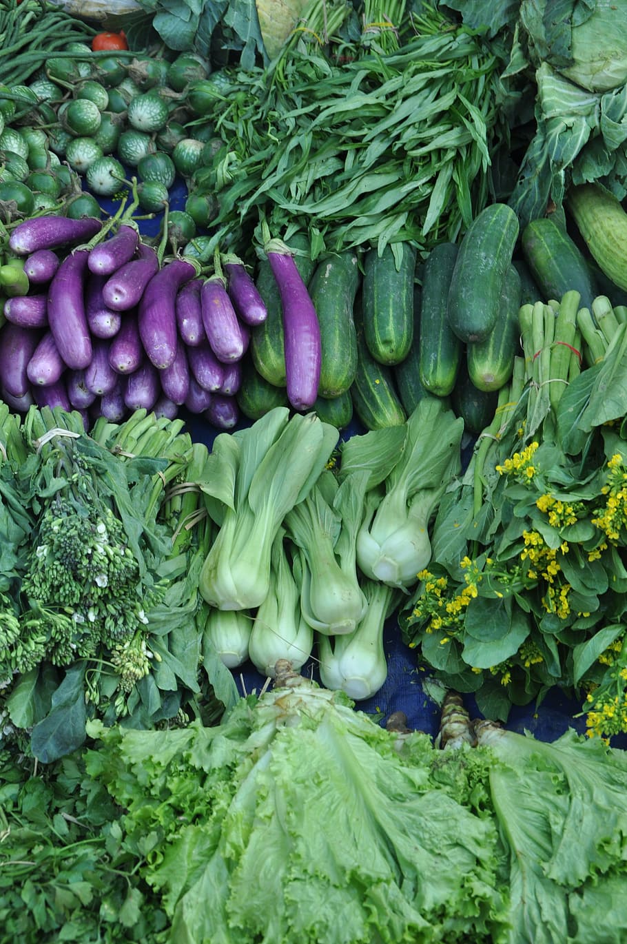 野菜, ナス, 食品, 健康, 栄養, バイオレット, クック, ベジタリアン, 鮮度, 市場