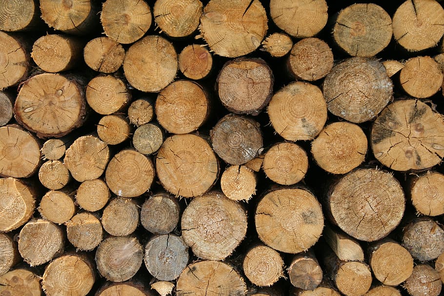 kayu, background, log, bingkai penuh, mencatat, kayu bakar, industri kayu, latar belakang, tumpukan, hutan